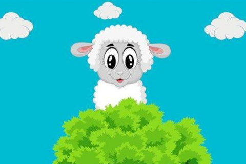 六月出生的属羊人命运好吗